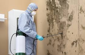 Best Forensic Mold Investigation  in Reed Creek, GA